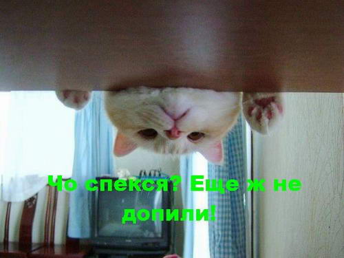 http://s50.radikal.ru/i129/1006/0d/d83a8cb9fe75.jpg