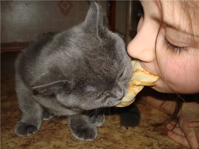 http://s51.radikal.ru/i134/1203/26/fc1d0c2d5d24.jpg