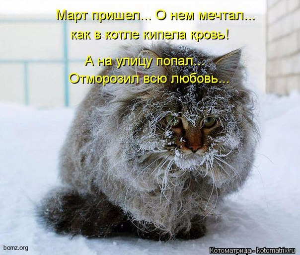 http://s52.radikal.ru/i137/1303/32/125d3d2ed1d2.jpg