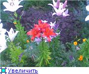 http://s54.radikal.ru/i146/1007/a7/78b5fc76c06dt.jpg