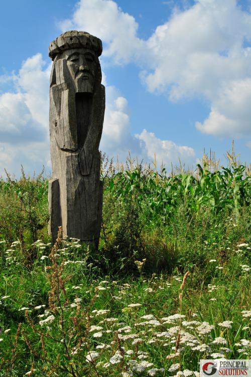 http://s56.radikal.ru/i152/1003/68/36a82957523b.jpg
