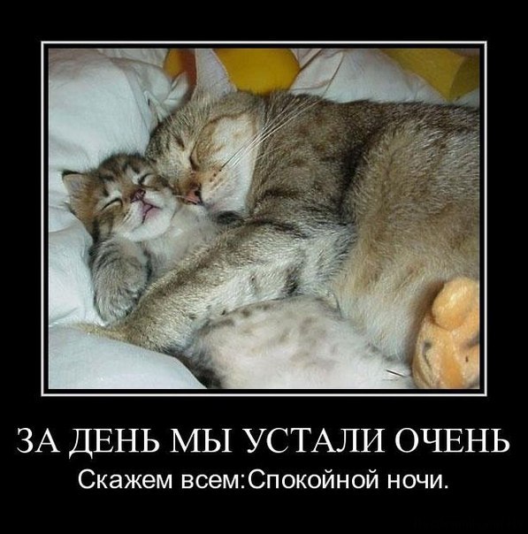 http://s56.radikal.ru/i153/1303/10/93b691bae696.jpg