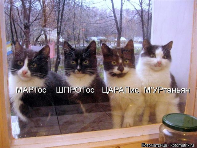 http://s58.radikal.ru/i160/1303/c0/16c4d8f9ca91.jpg