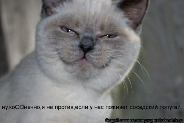 http://s61.radikal.ru/i174/1011/e8/10b2c545f926.jpg