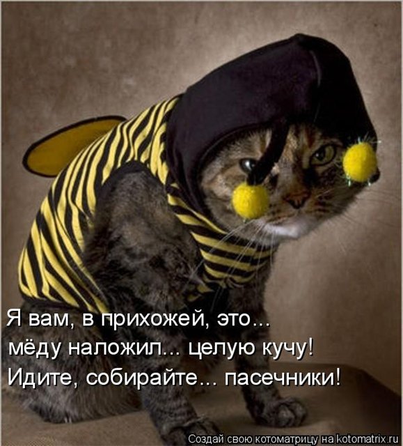 http://s16.radikal.ru/i190/1011/0e/a9152d513cfa.jpg