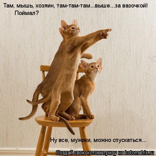 http://s16.radikal.ru/i191/1011/10/b3cc7df53c98.jpg