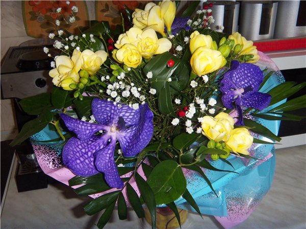 http://s001.radikal.ru/i194/1305/51/f385c3565021.jpg