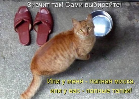 http://s002.radikal.ru/i197/1202/49/b72064187eec.jpg