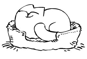 http://s002.radikal.ru/i198/1006/d9/a1beadfd0096.png