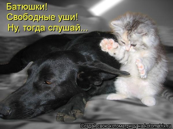 http://s004.radikal.ru/i205/1202/13/e7aff40ba63e.jpg