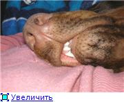 http://s005.radikal.ru/i211/1003/68/d222ac488a42.jpg