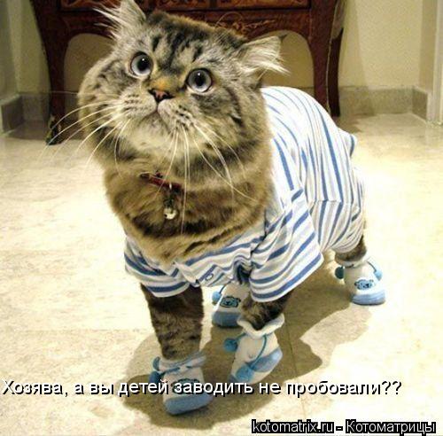 http://s007.radikal.ru/i301/1011/c3/4111c50eef3d.jpg