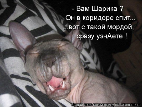 http://s007.radikal.ru/i302/1011/64/eca280e1fe36.jpg