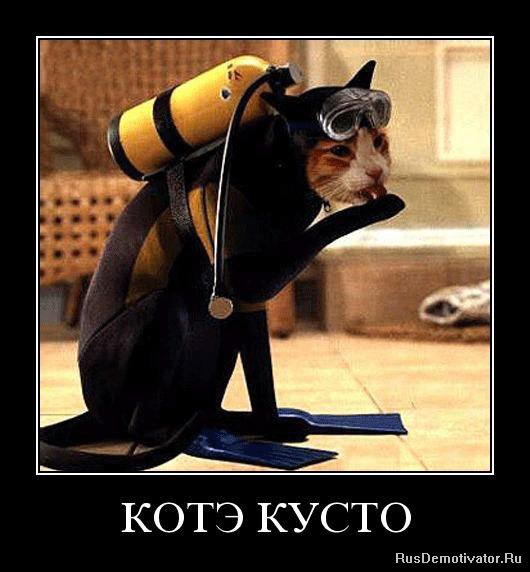 http://s008.radikal.ru/i303/1011/89/fd44923cb6df.jpg