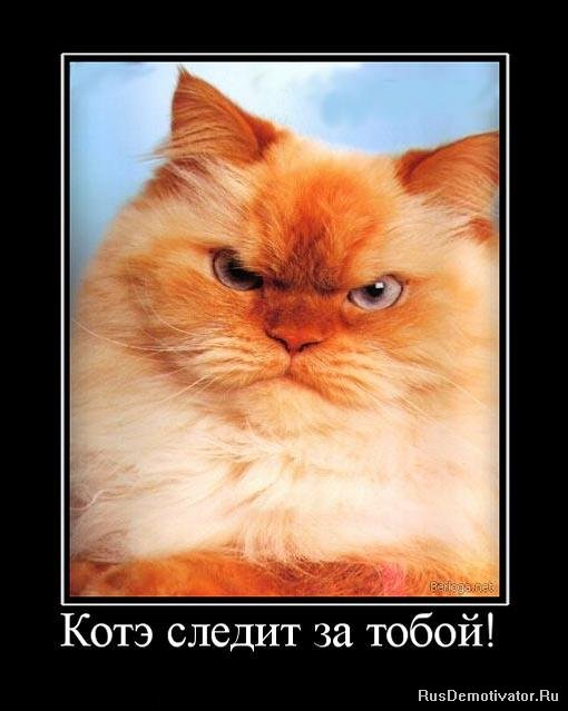 http://s011.radikal.ru/i316/1011/26/885f26f45036.jpg