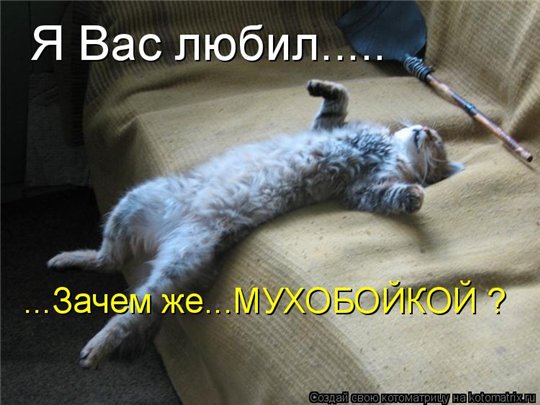 http://s012.radikal.ru/i321/1011/84/412ad26c4d77.jpg