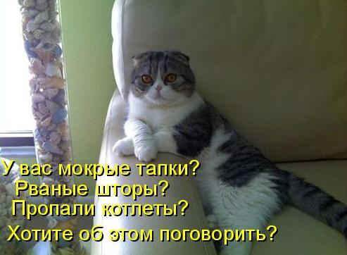 http://s013.radikal.ru/i322/1011/42/dfc3c00e8b0b.jpg