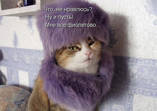 http://s014.radikal.ru/i327/1011/c3/23eb9e4fb7d4.jpg