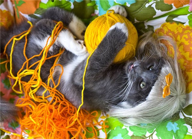 http://s014.radikal.ru/i329/1011/79/b0f7587c4756.jpg