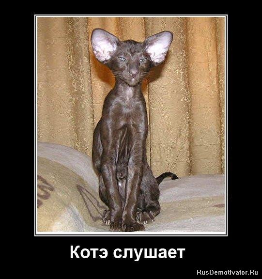 http://s015.radikal.ru/i331/1011/a8/cf40ef603c06.jpg