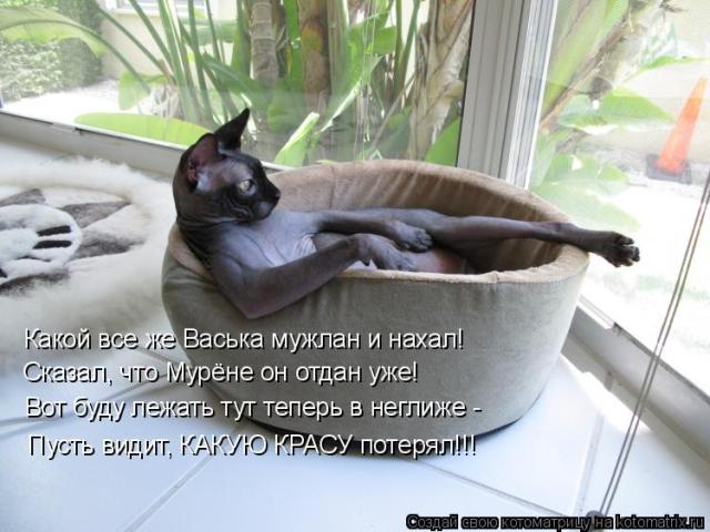 http://s015.radikal.ru/i333/1011/5f/266b007d0ad8.jpg