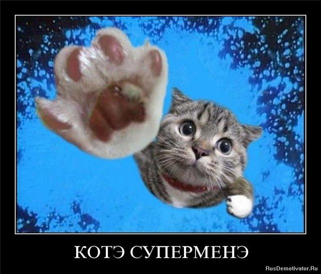 http://s016.radikal.ru/i336/1011/7e/49e3da7ab889.jpg