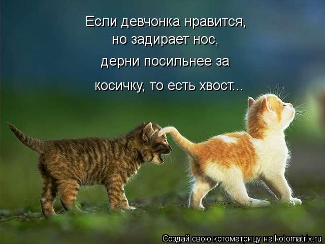 http://s017.radikal.ru/i434/1303/e9/98990928a4b3.jpg