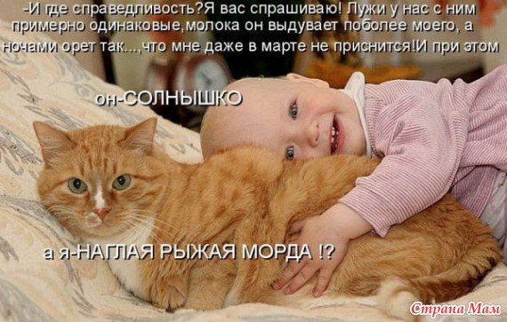 http://s017.radikal.ru/i435/1203/f6/d6eff8f36782.jpg