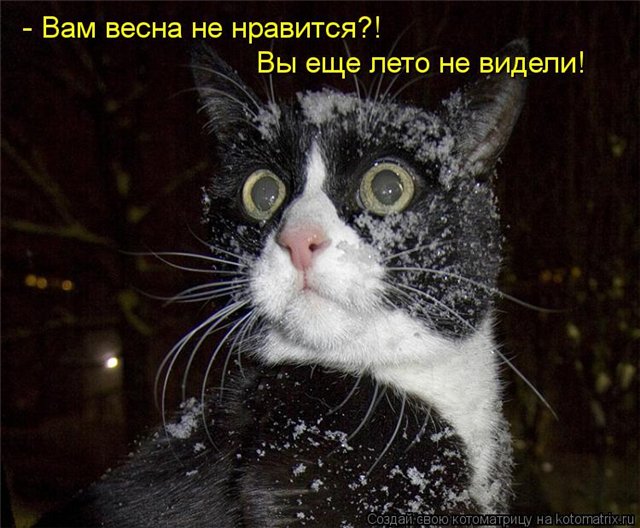 http://s017.radikal.ru/i439/1303/b2/a486749a6694.jpg
