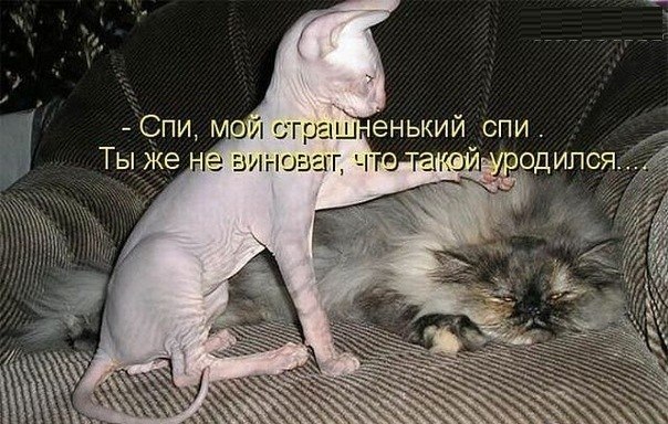 http://s018.radikal.ru/i515/1202/65/861e181a2bad.jpg