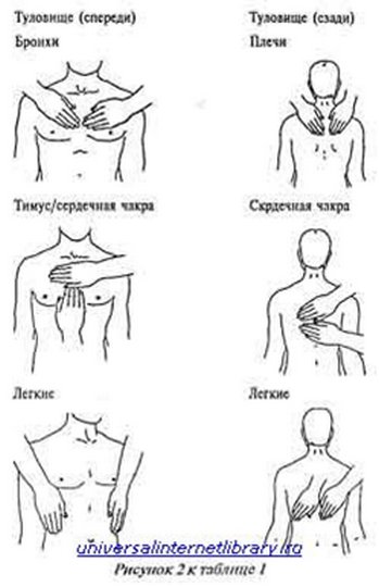 http://s018.radikal.ru/i519/1202/a3/0c7c3385eadf.jpg