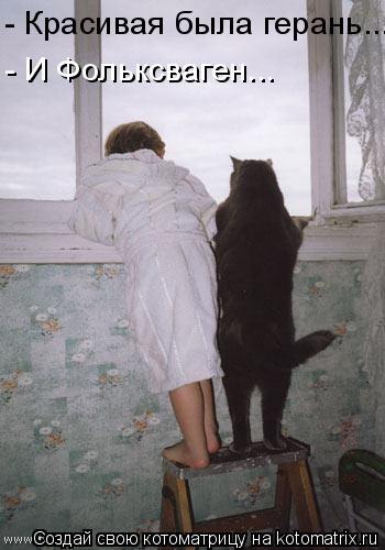 http://s018.radikal.ru/i519/1203/d0/a93f631097d9.jpg