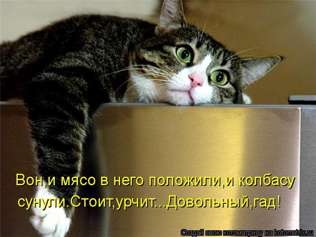http://s018.radikal.ru/i522/1303/a3/6c4e88fc121f.jpg