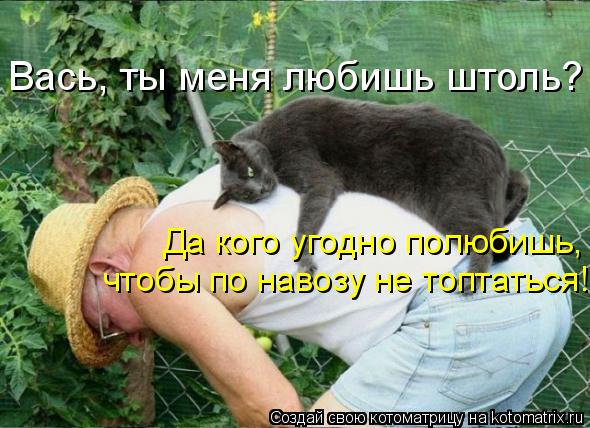 http://s019.radikal.ru/i602/1204/4a/47f53d25ab6e.jpg