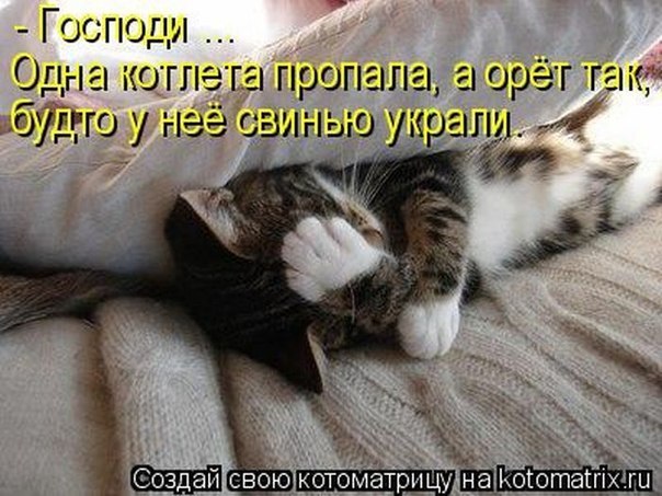 http://s019.radikal.ru/i607/1203/aa/387d259f312c.jpg