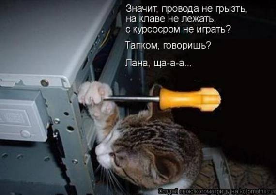 http://s019.radikal.ru/i607/1204/88/6ea116a5b0cd.jpg