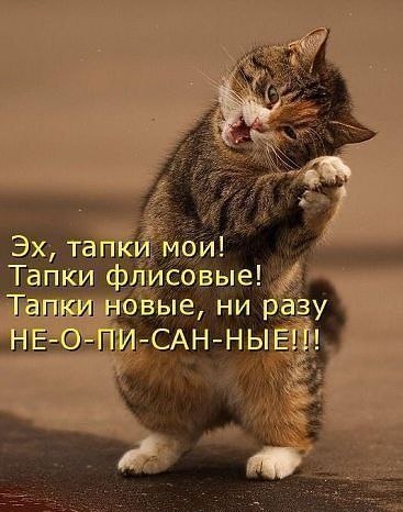 http://s019.radikal.ru/i608/1203/c7/50eee9aa9b6c.jpg