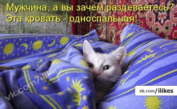 http://s019.radikal.ru/i610/1203/29/dc041f09f454.jpg
