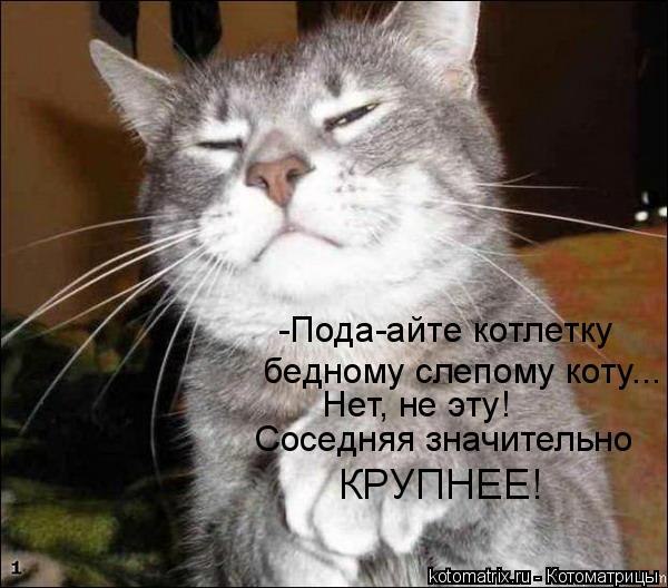 http://s019.radikal.ru/i611/1203/0b/696230bd9c4e.jpg