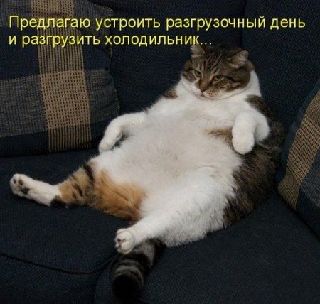 http://s019.radikal.ru/i618/1204/10/f7e2d603ffd5.jpg
