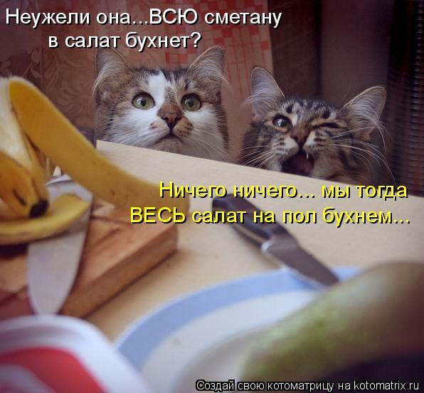 http://s019.radikal.ru/i635/1203/05/6a05e85c3872.jpg