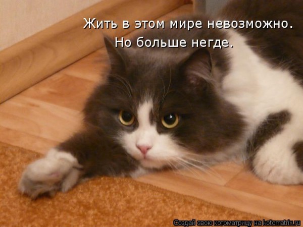 http://s019.radikal.ru/i635/1205/3b/cc787c30b5a9.jpg