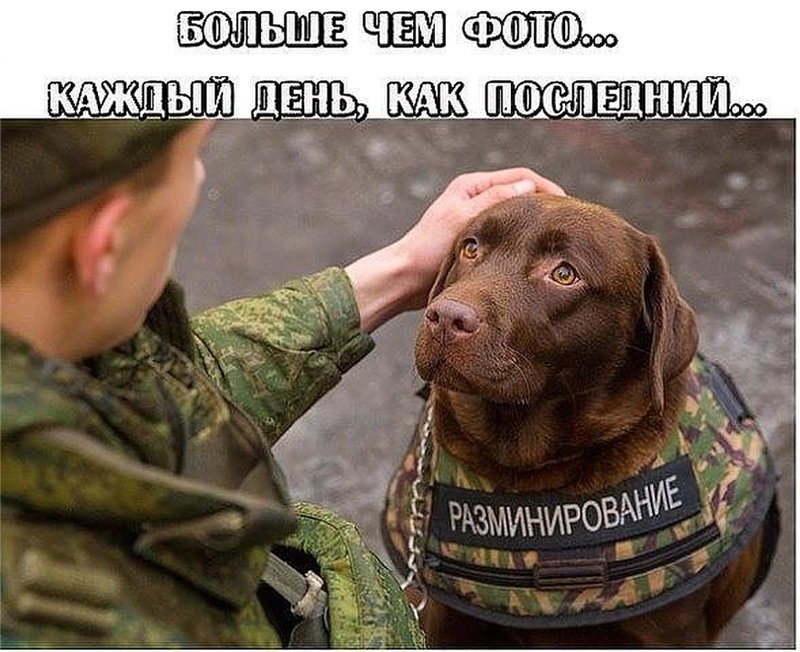 http://s019.radikal.ru/i635/1512/b2/7b78b84f4bc2.jpg