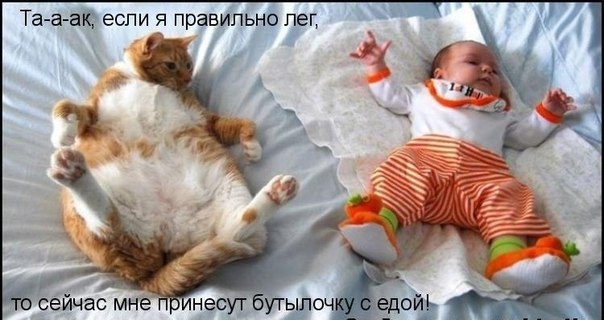 http://s019.radikal.ru/i636/1203/ed/71655bd8e546.jpg