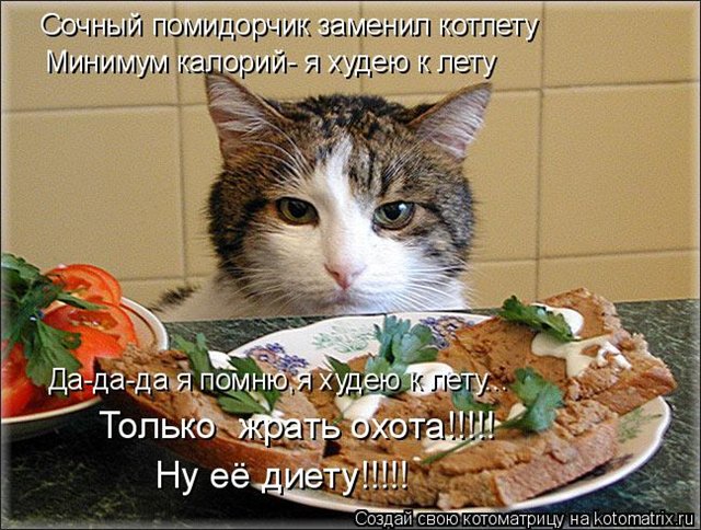 http://s019.radikal.ru/i639/1204/91/d27ceb841502.jpg
