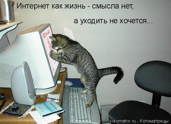 http://s019.radikal.ru/i640/1204/04/41b9f48c6725.jpg