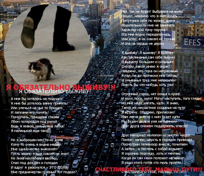 http://img1.liveinternet.ru/images/attach/c/2/71/456/71456543_733493.jpg