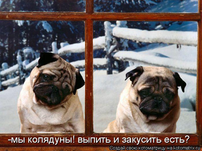 http://kotomatrix.ru/images/lolz/2009/10/28/389279.jpg
