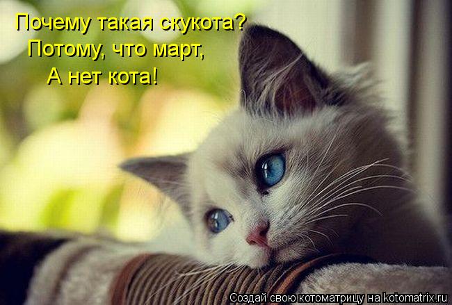 http://kotomatrix.ru/images/lolz/2013/03/11/kotomatritsa_Zp.jpg