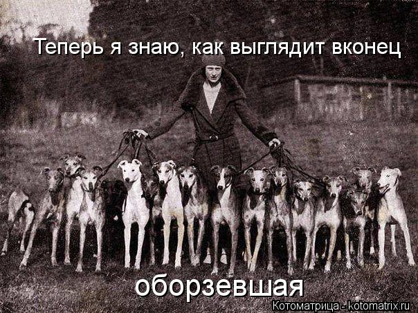 http://kotomatrix.ru/images/lolz/2013/12/08/kotomatritsa_0D.jpg